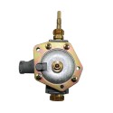 CUERPO DE AGUA JUNKERS. FER44JK0423