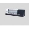 Vitrina refrigerada mostrador 110 2L 4P